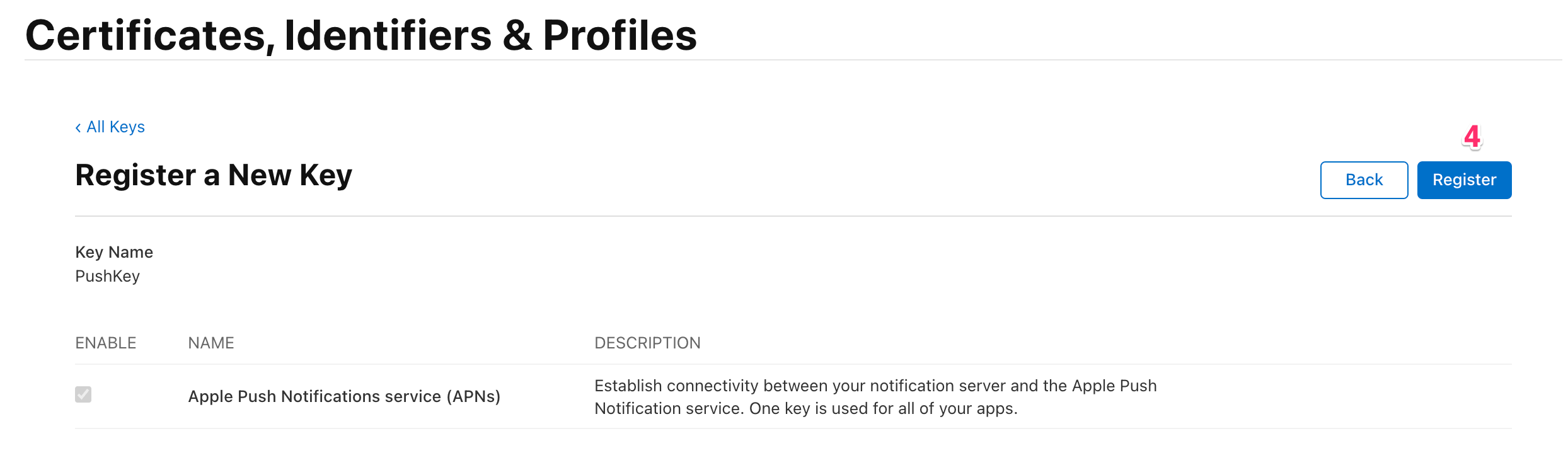 register a new Apple Push Notifications service key confirm